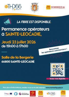 Affiche A3 Sainte Leocadie